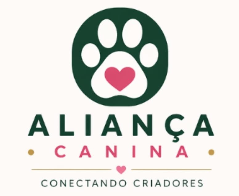 Início